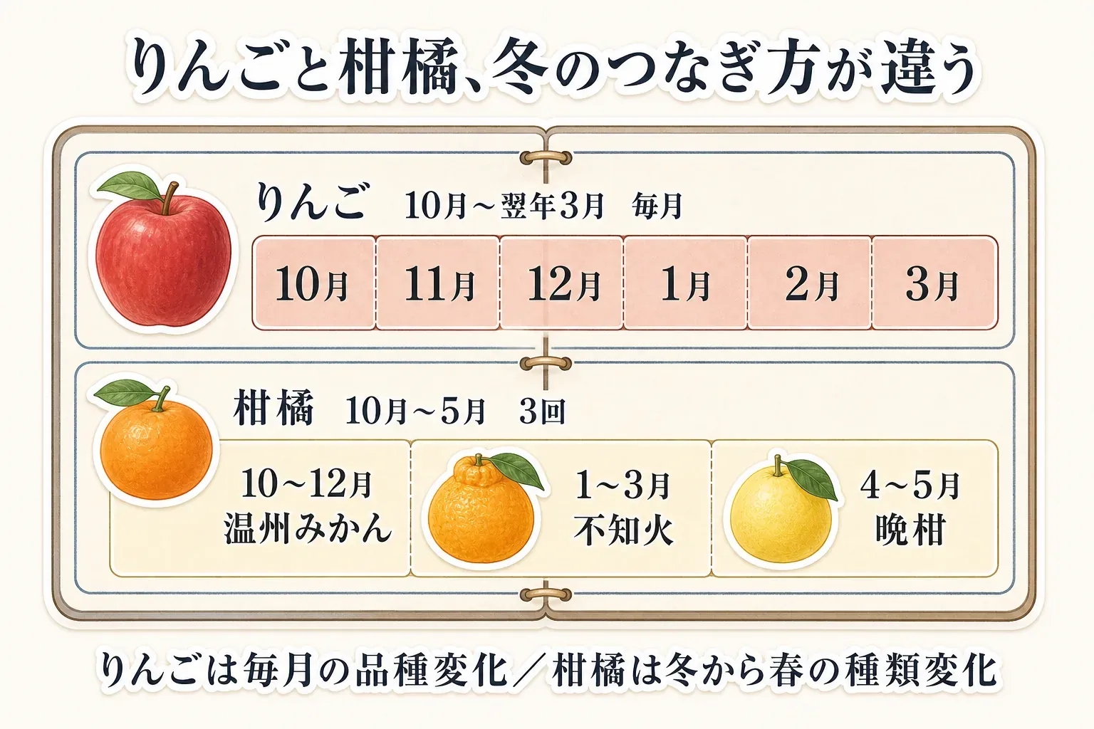 りんご定期便は10月から翌年3月まで毎月届き、柑橘定期便は10月から5月に温州みかん、不知火、晩柑を3回で届ける季節のつながりを比較した図。りんごは毎月の品種変化、柑橘は冬から春の種類の変化を楽しめることを示している