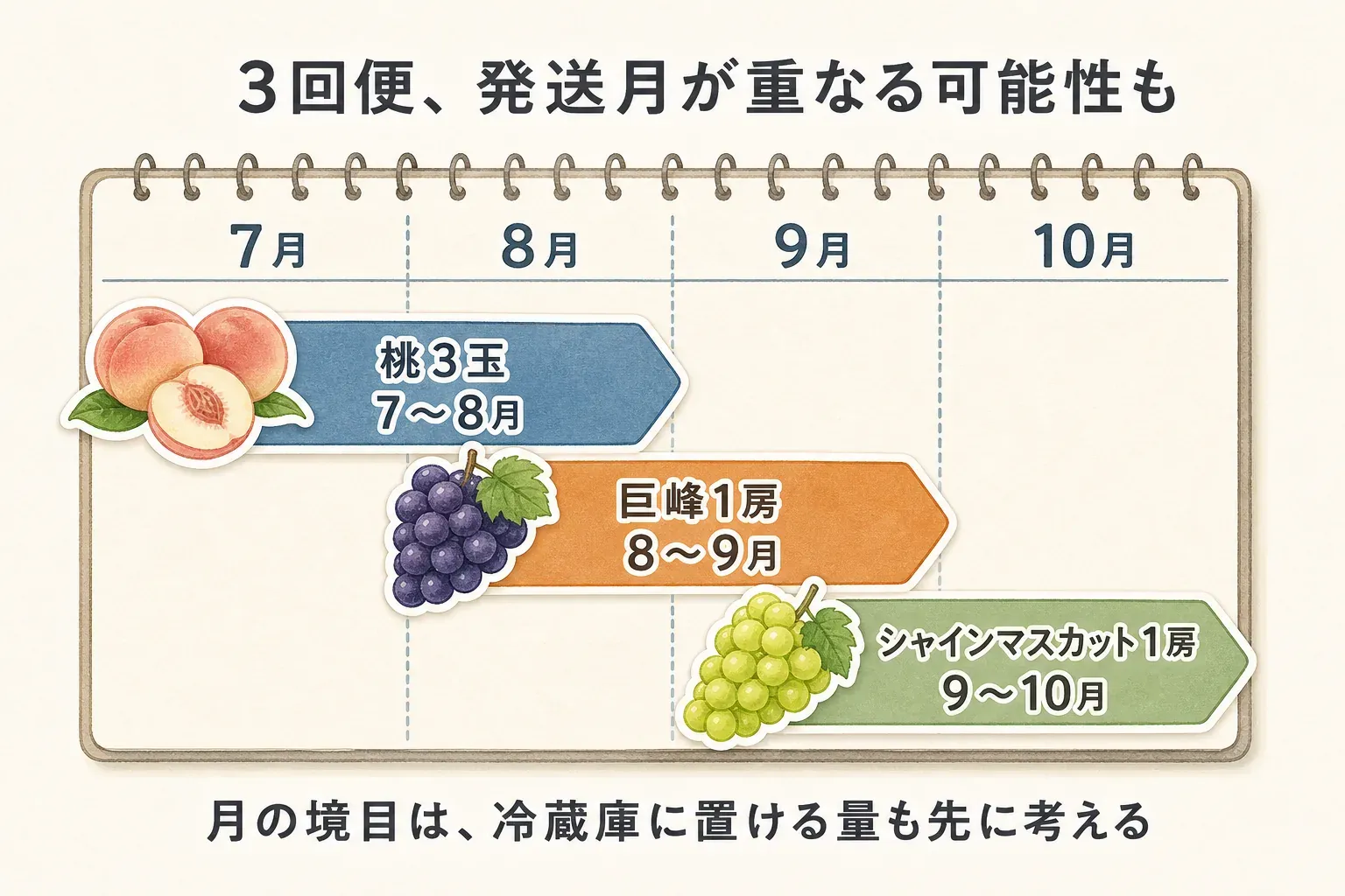 桃3玉を7〜8月、巨峰1房を8〜9月、シャインマスカット1房を9〜10月に発送する3回便の月別予定図。月の境目では次の便と重なる可能性があり、冷蔵庫に置ける量を先に考えることを示している