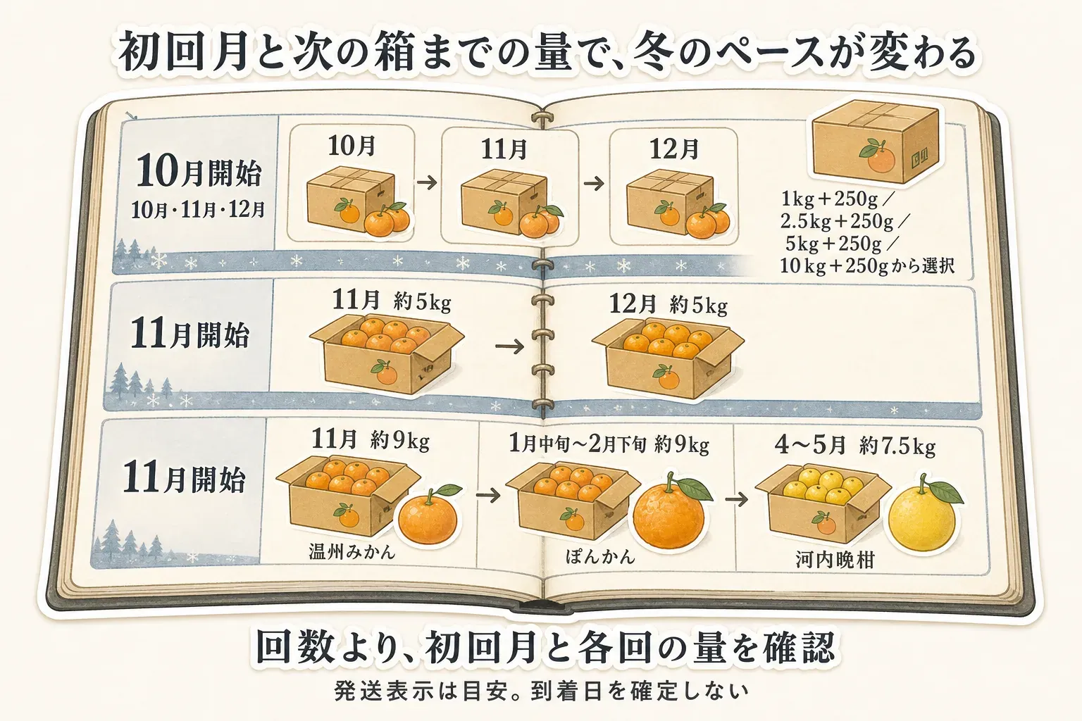 みかん定期便は初回月と各回の量で冬の食べるペースが変わることを示す図。10月開始は10〜12月に選べる1kg＋250g・2.5kg＋250g・5kg＋250g・10kg＋250gの箱、11月開始は11月と12月に約5kg、別の11月開始は11月約9kg・1月中旬〜2月下旬約9kg・4〜5月約7.5kgの温州みかん・ぽんかん・河内晩柑が届く