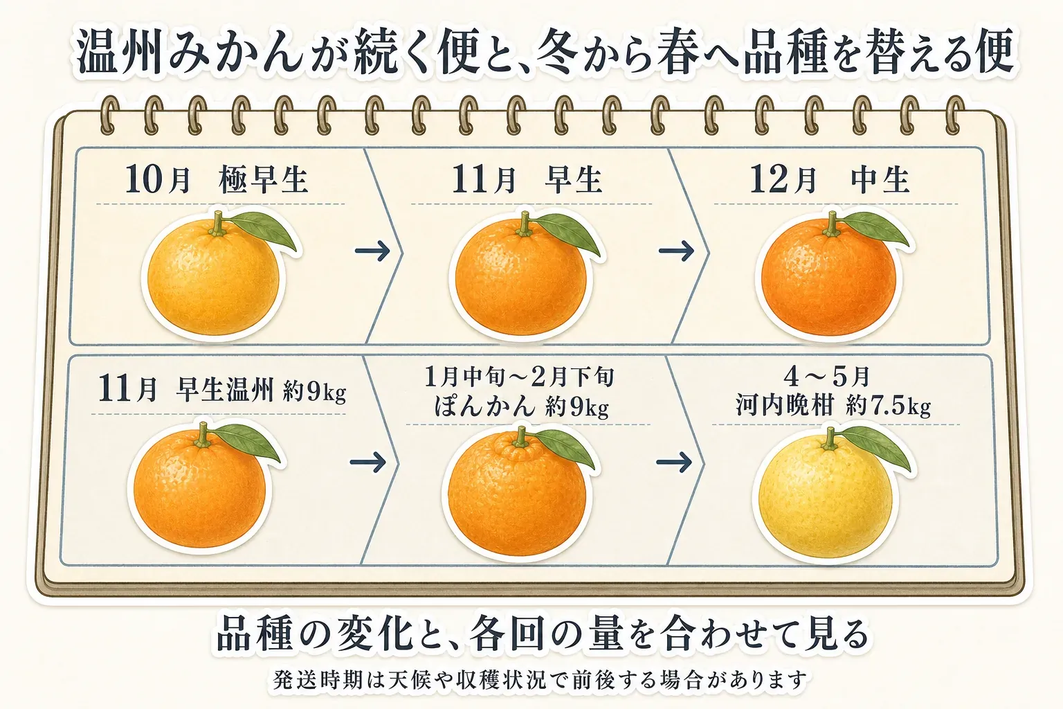 温州みかんが続く便と冬から春へ品種を替える便の流れを示す図。前者は10月の極早生、11月の早生、12月の中生へ移り、後者は11月の早生温州約9kg、1月中旬〜2月下旬のぽんかん約9kg、4〜5月の河内晩柑約7.5kgへ移る。発送時期は天候や収穫状況で前後する場合がある