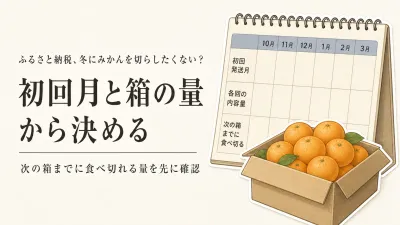 寒くなる前に決めるふるさと納税のみかん定期便｜冬の食べるペースと初回発送月で選ぶ
