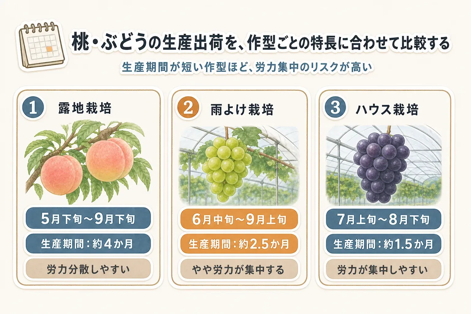 おやつ用の冷凍マンゴーを、400g×3パック・約270gのカット済み・500g〜5kgから選べるカット済み・2Lサイズ×3玉の丸ごと冷凍で比較した図。解凍する単位、形状、未開封で残せるかを確認する順番を示している