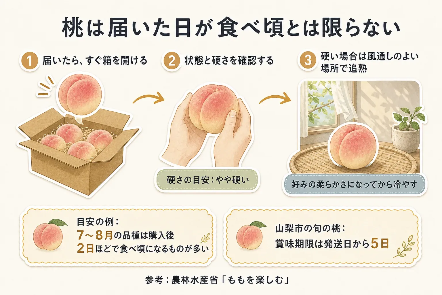 桃は届いた日が食べ頃とは限らないことを示す図。届いたらすぐ箱を開け、状態と硬さを確認し、硬い場合は風通しのよい場所で追熟して好みの柔らかさになってから冷やす流れを示す。7〜8月の品種は購入後2日ほどで食べ頃になるものが多い例と、山梨市の旬の桃は賞味期限が発送日から5日という商品説明を併記している。参考は農林水産省「ももを楽しむ」