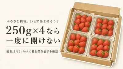 ふるさと納税いちごは250g小分けが傷みにくい？1kg返礼品を家族で食べ切る選び方